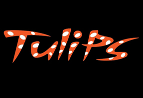 Tulips Ladies & Gents Beauty Parlour